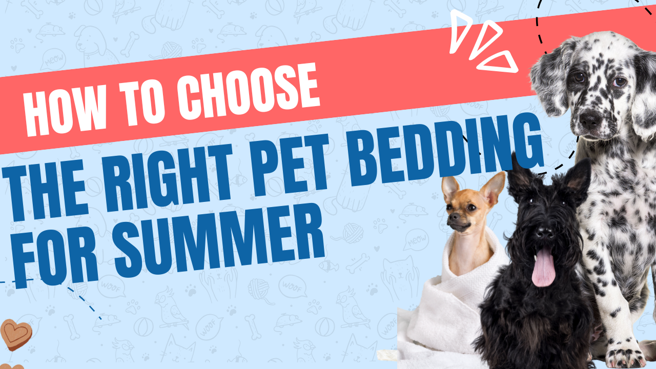 How to Choose the Right Pet Bedding for Summer
