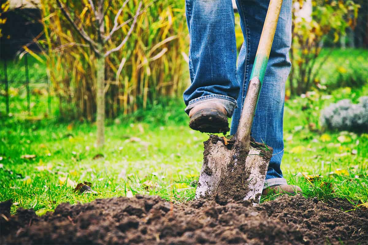 The Shovel is the Number One Garden Tool you should have