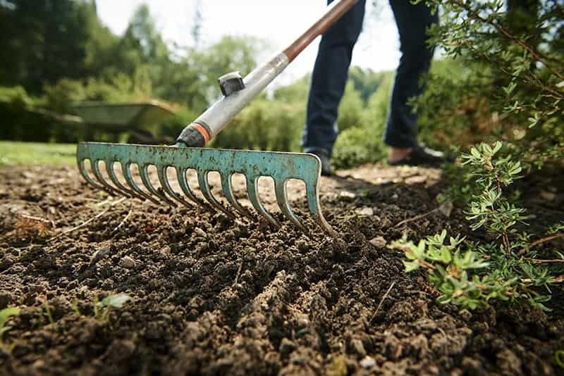 Understanding the Uses and Types of Rakes