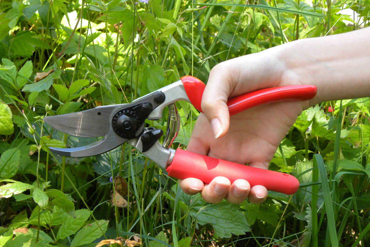 The difference between Anvil and Bypass Secateurs