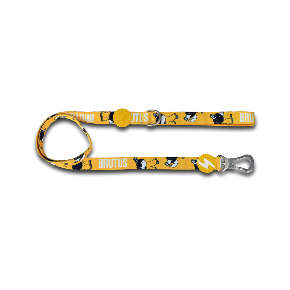 Dashi Brutus Leash (2 sizes available)