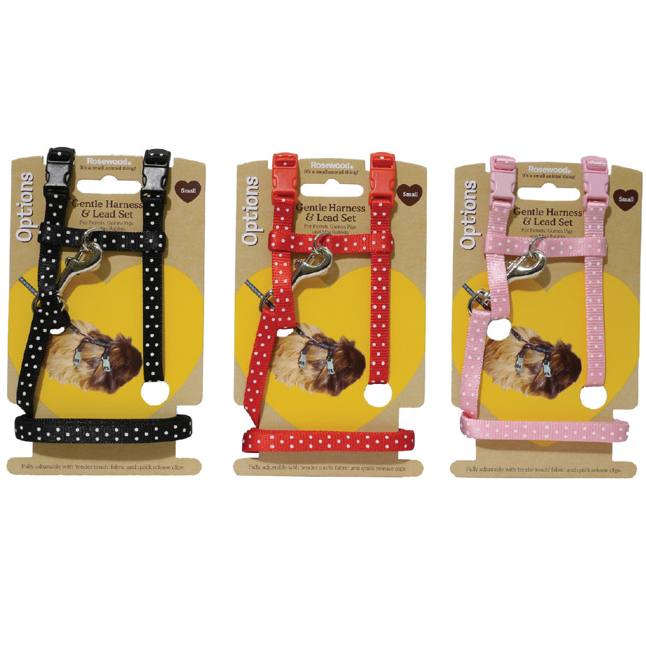 Rosewood Polka Dot Harness & Lead  (2 sizes available)