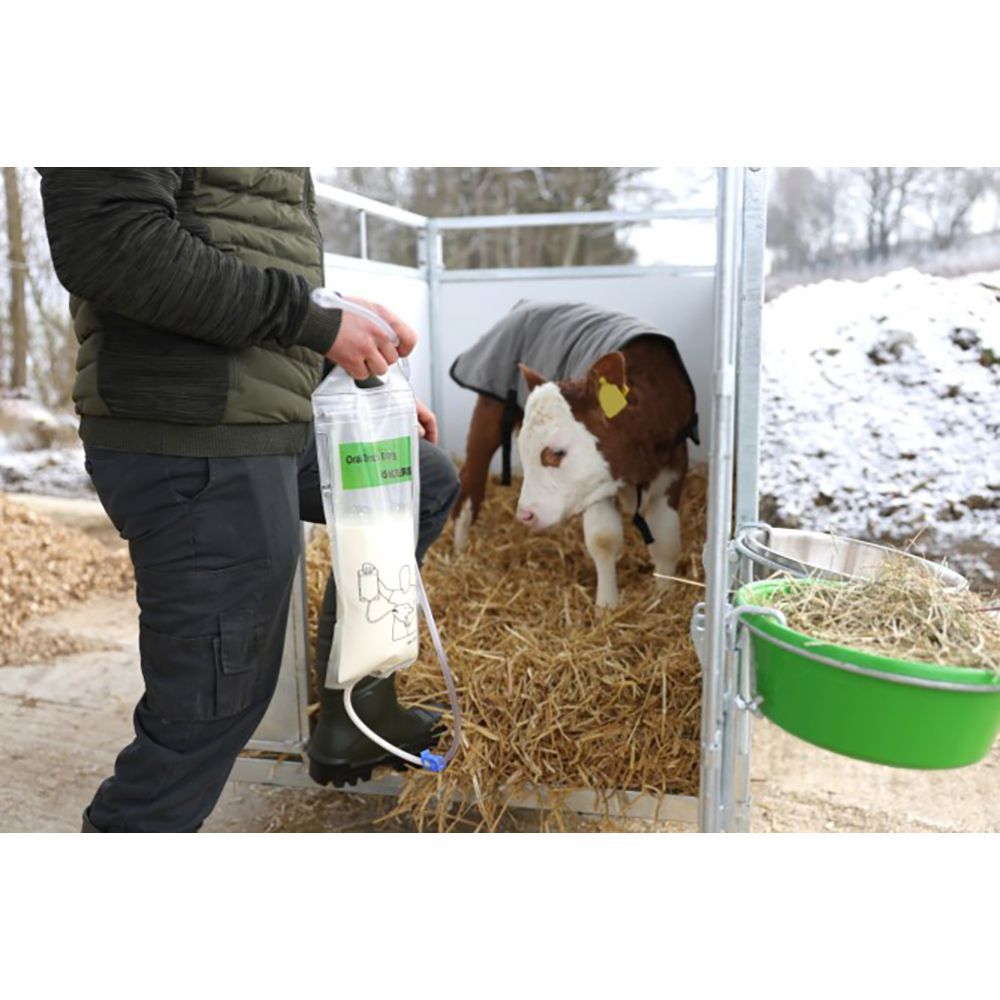 Shoof Calf Drencher Oral Feeder - in use