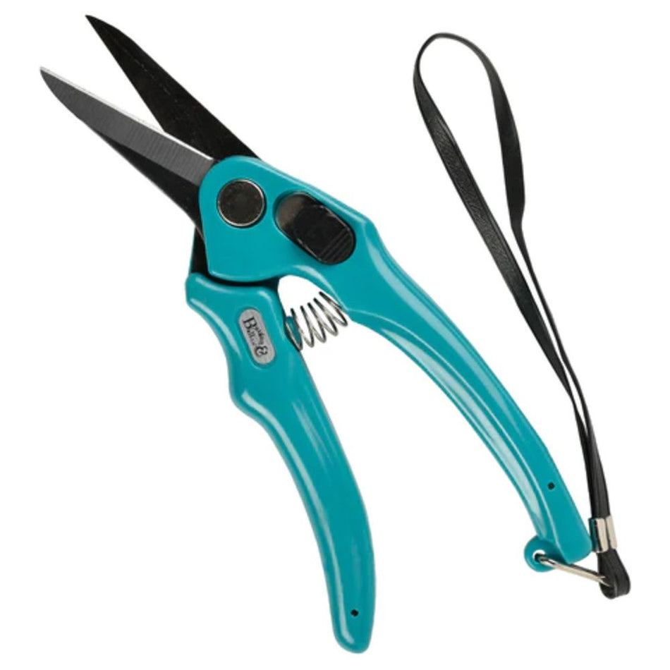 Shoof Footrot Shears B&B Plain 19cm