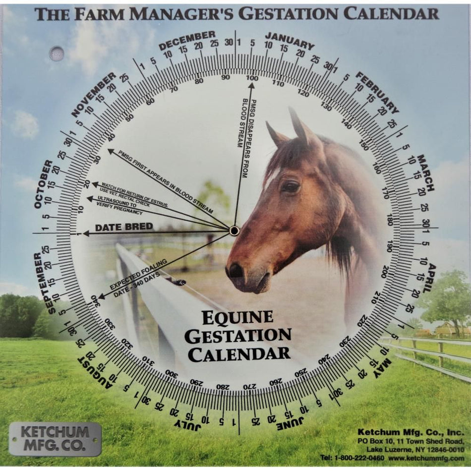 Shoof Gestation Calendar Mare