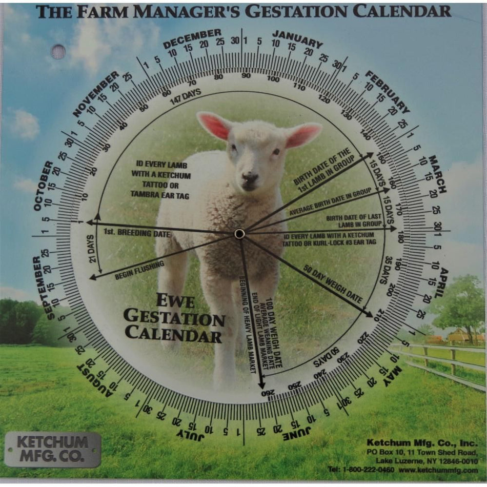 Shoof Gestation Calendar Ewe