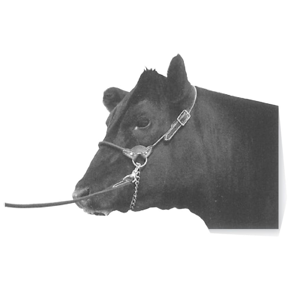 Shoof Halter Leather Round Strap Heifer (2 Colours Available)