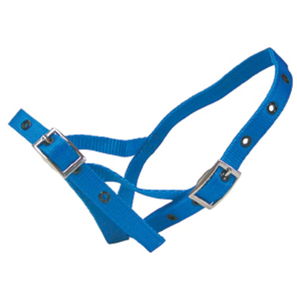 Tether Cow Shoof Halter Nylon Cow Tethering (2 Colours Available) - Oz General Store