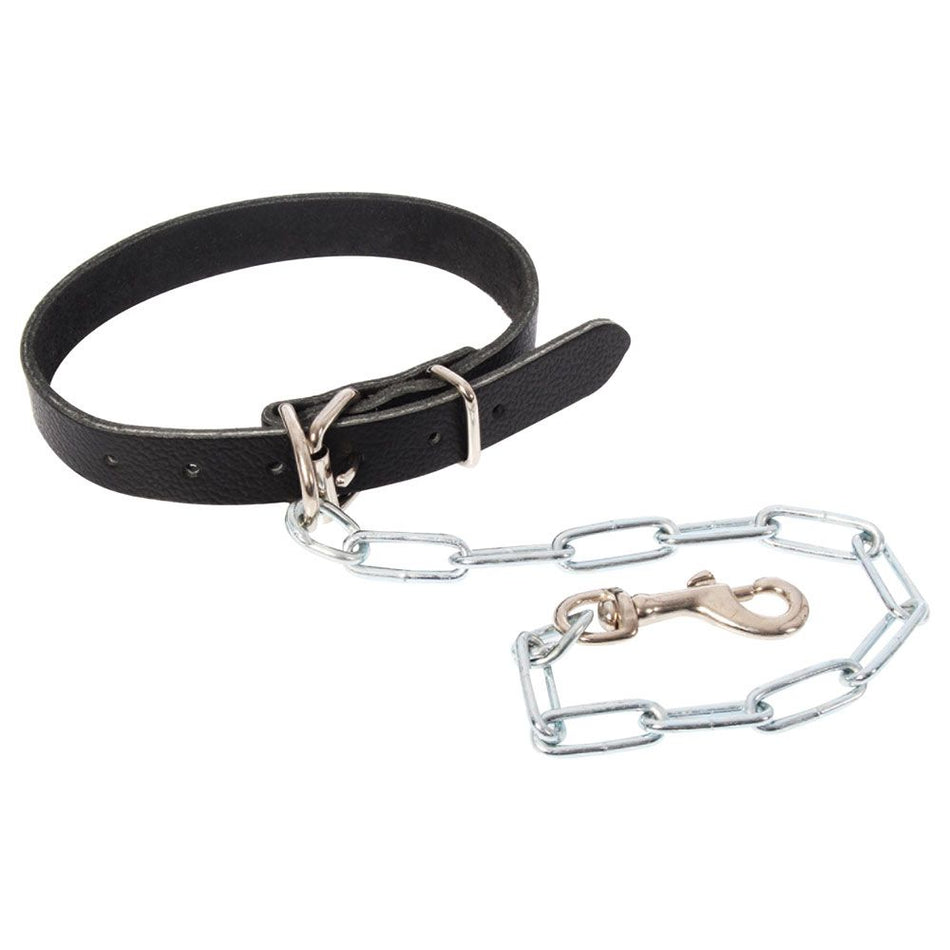 Shoof Dog Collar Leather w Chain (2 Sizes Available)