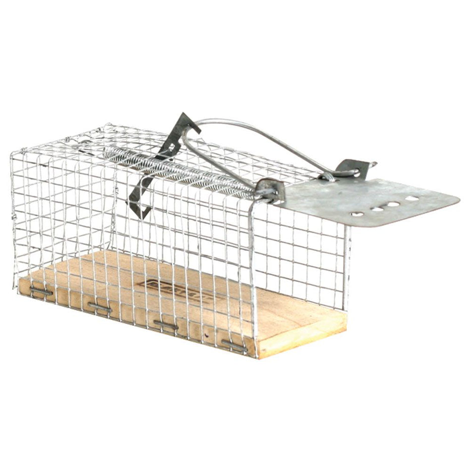 Shoof Trap Mouse Cage