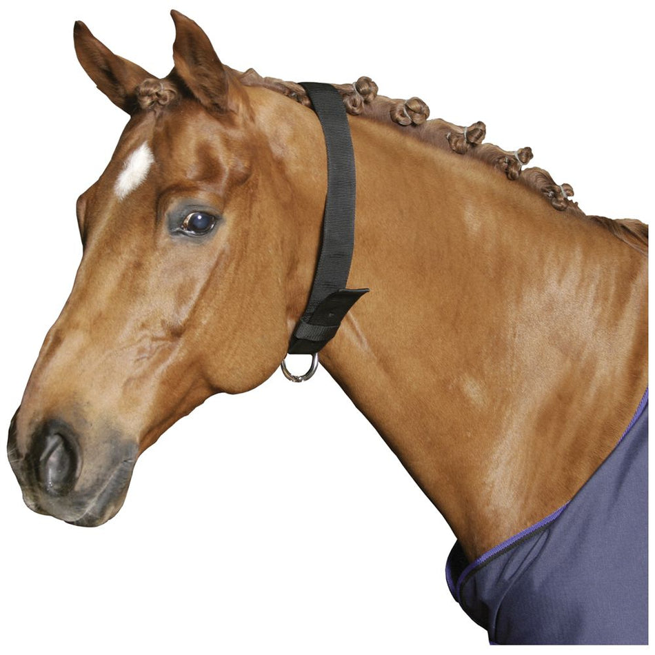 Shoof Collar Horse Webbing Black 1.1m x 50mm