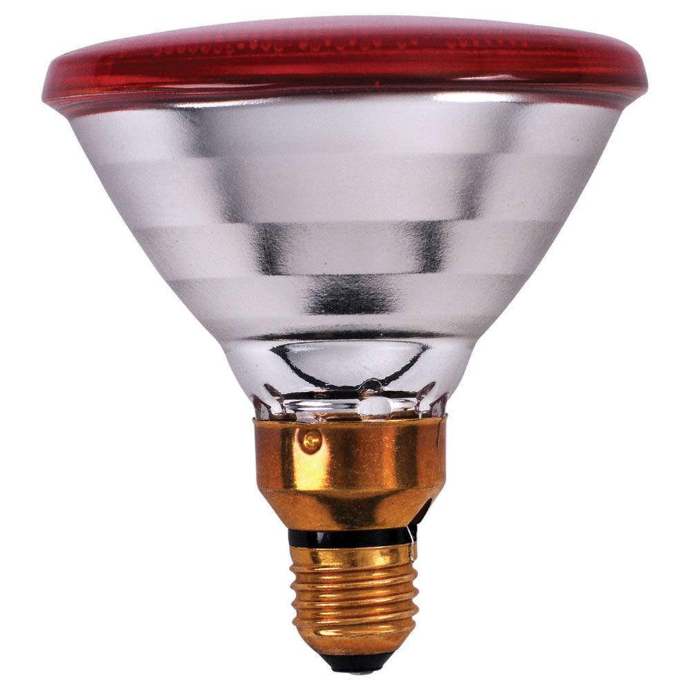 Shoof Lamp Infrared Phillips Red 100W