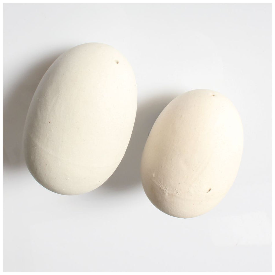 Shoof Brood Eggs China (2 Packing Variants Available)