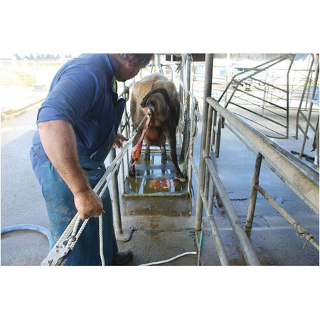 Shoof Calf Puller Fast-Lock - in use