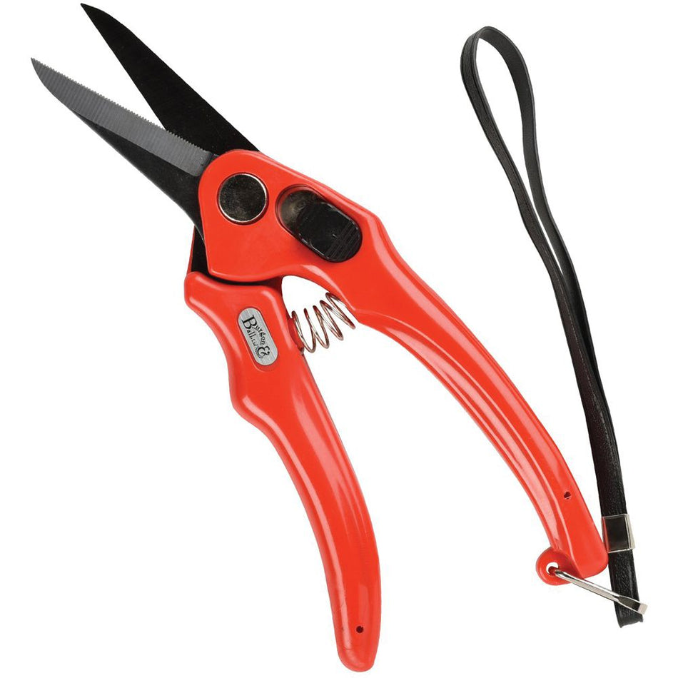 Shoof Footrot Shears B&B Serrated 19cm