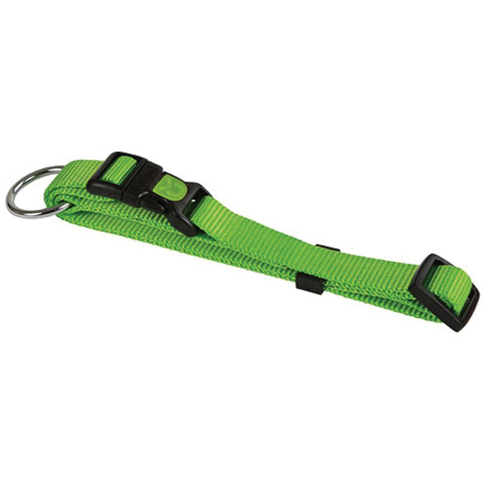 Shoof Dog Collar Kerbl Miami - Green (3 Sizes Available)