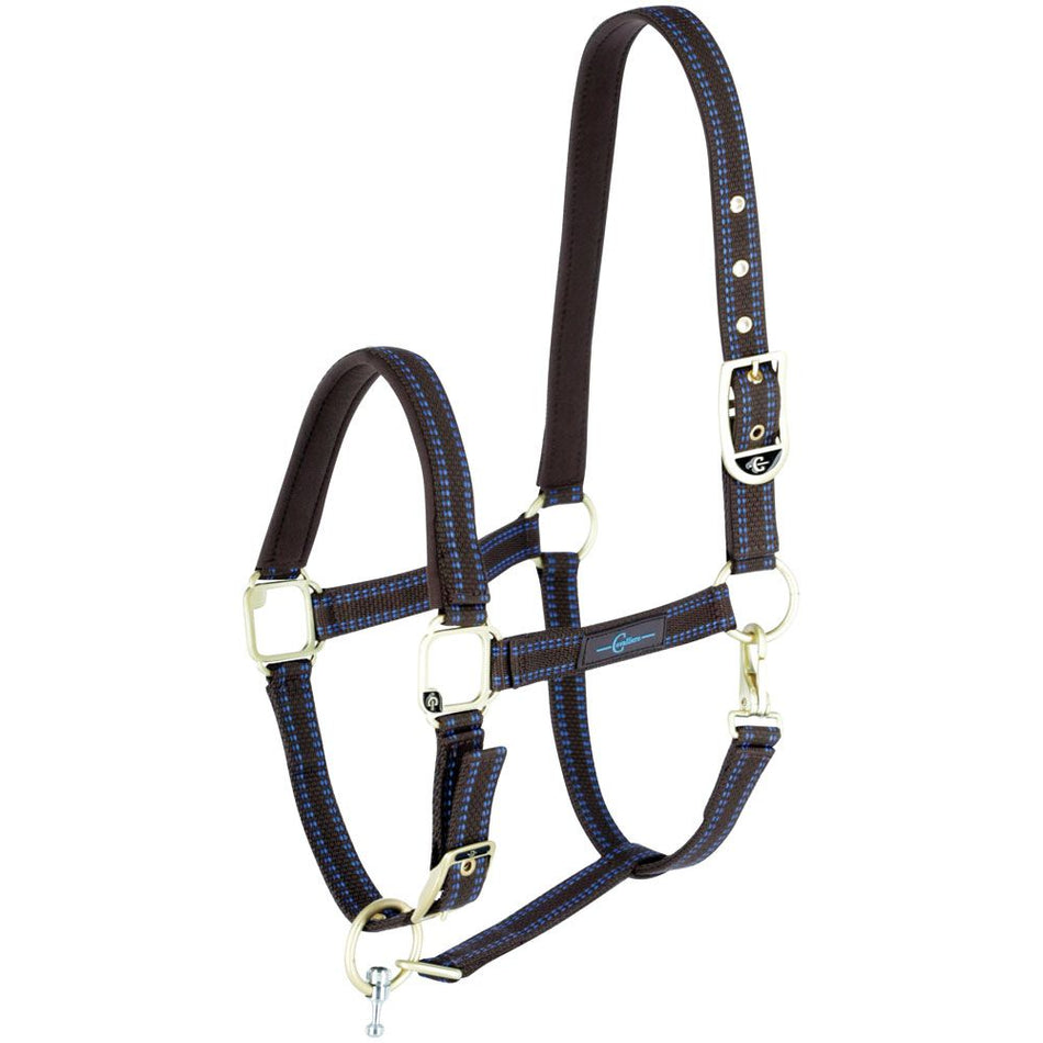 Shoof GoLeyGo Horse Halter complete Brown/LBlue (6 Sizes Available)
