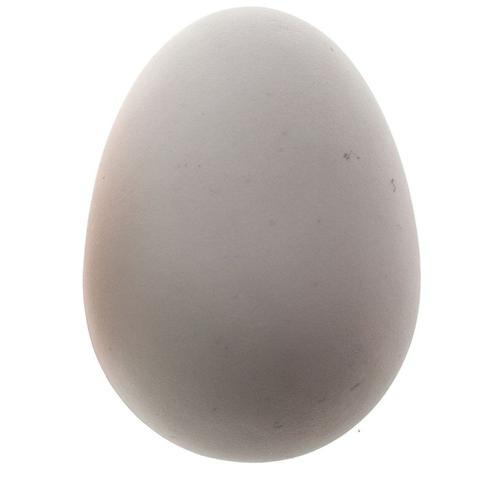 Shoof Brood Eggs Rubber (2 Colours Available)