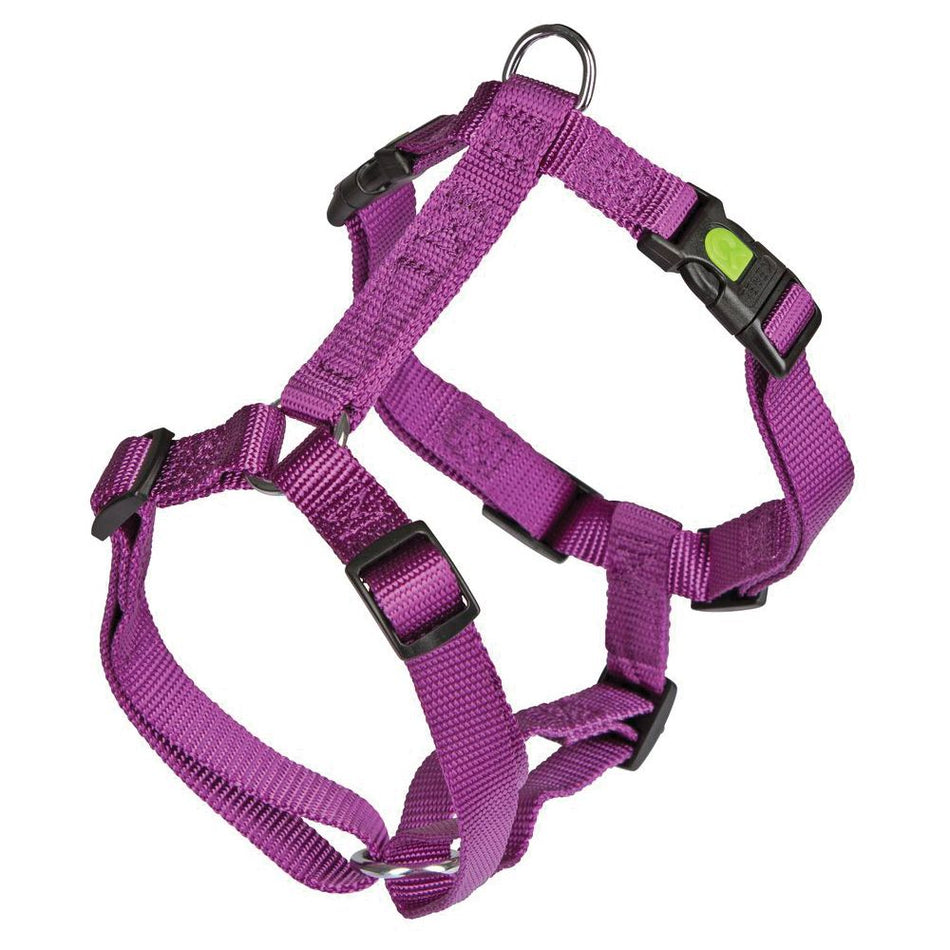 Shoof Dog Harness Kerbl Miami - Purple - (3 Sizes Available)