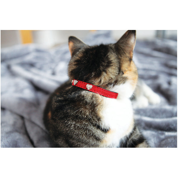 Rosewood Winter Fashion Cat Collar
