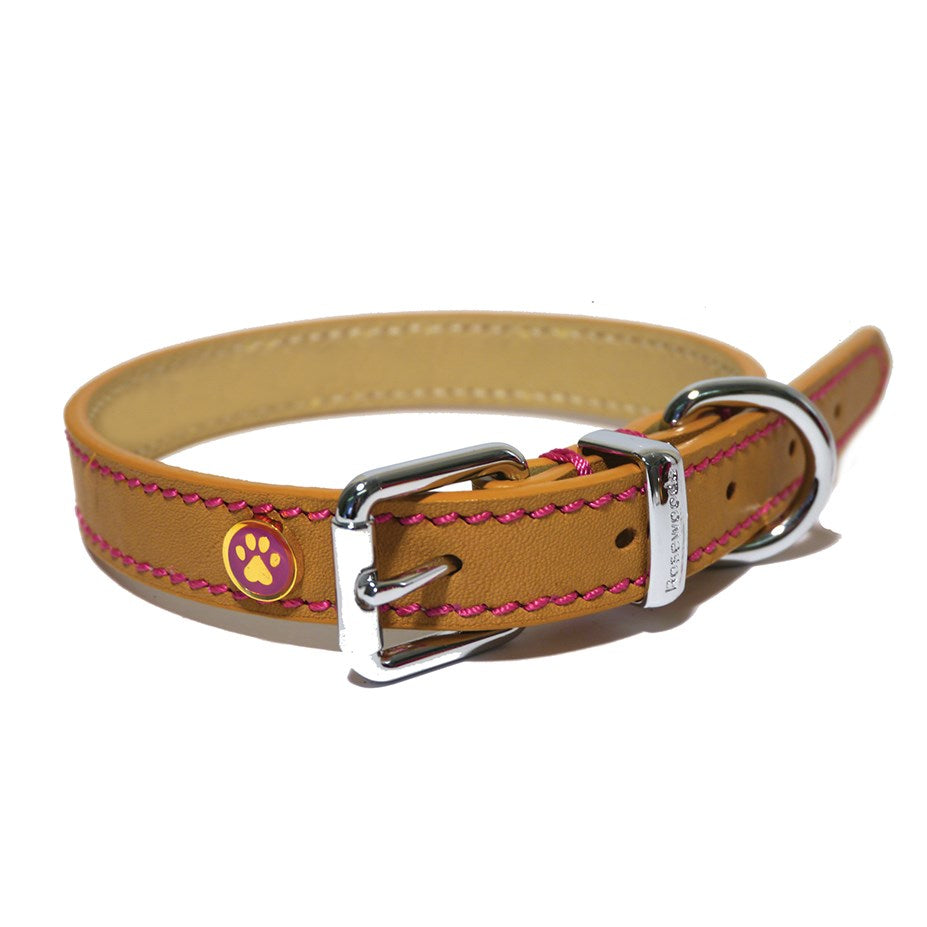 Rosewood Tan Leather Collar (5 sizes available)