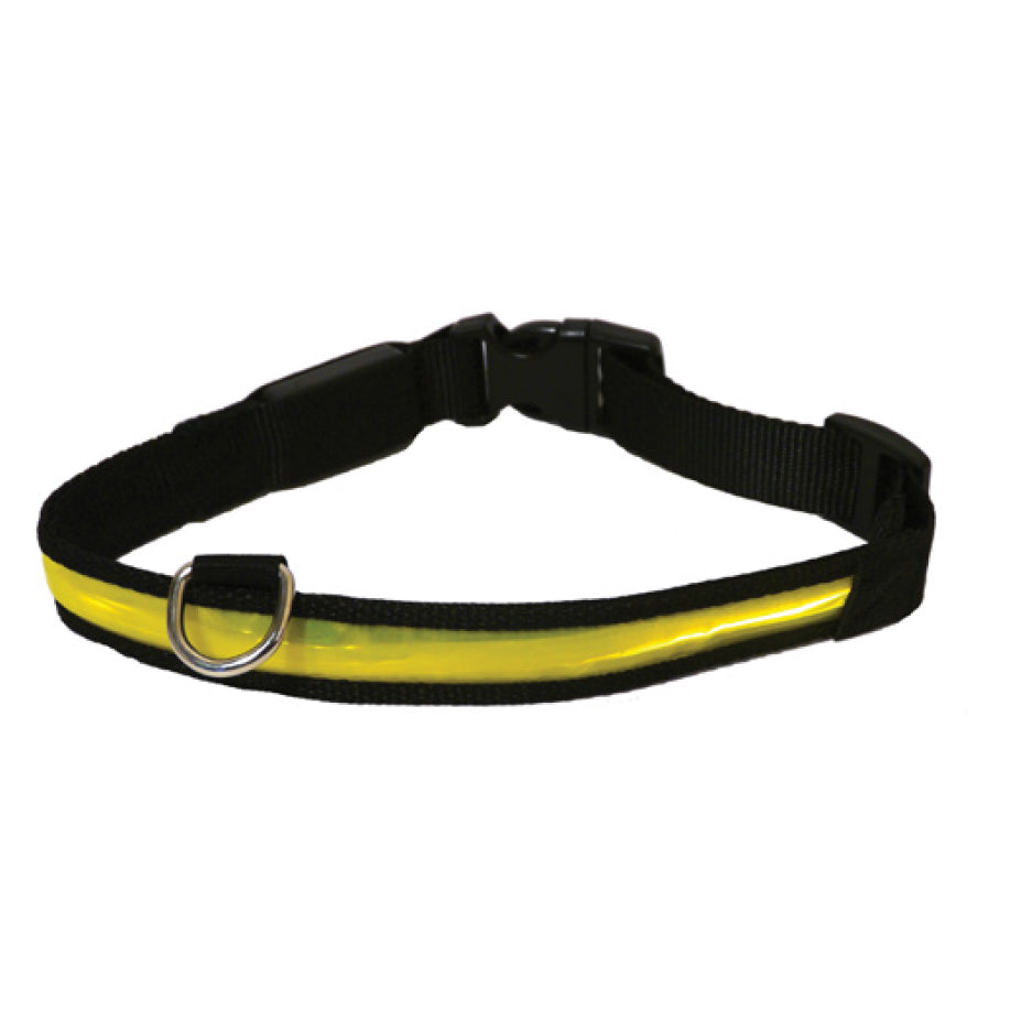 Rosewood Flashing Collar Yellow  (3 sizes available)