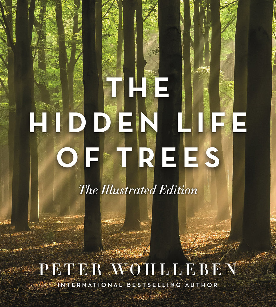 Hidden Life of Trees (Illustrated Edition)