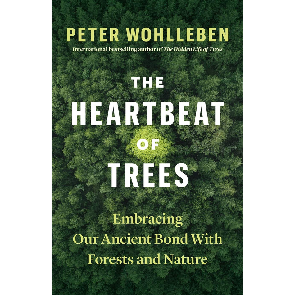 Heartbeat of Trees - Embracing Our Ancient Bond with Forests and Nature