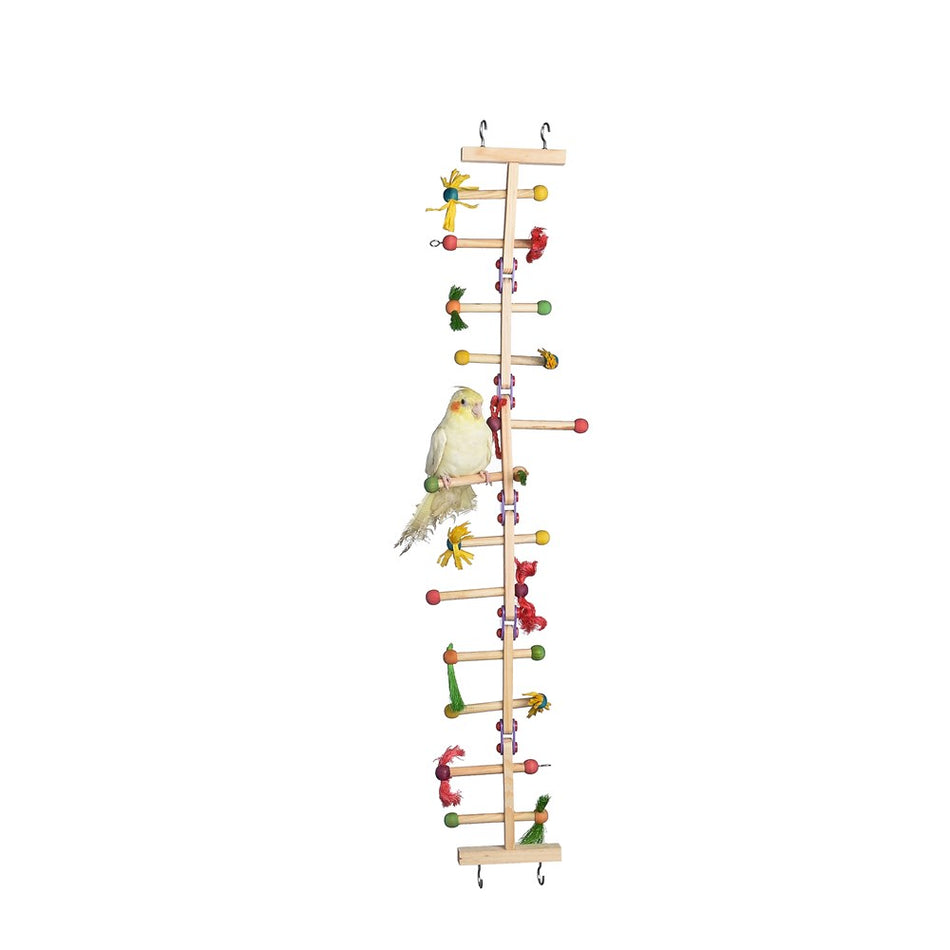 Nature Island Forage N Play Ladder - Small