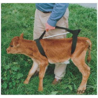 Calf Sling Griffiths