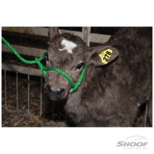 Shoof Leg Ropes Shoof Halter Poly Rope Calf (4 Colours Available) - Oz General Store