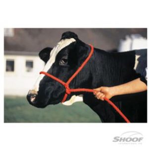 Halter-Poly-Rope-Calf-Red-300x300
