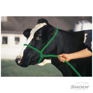 Halter Poly Rope Cow Black