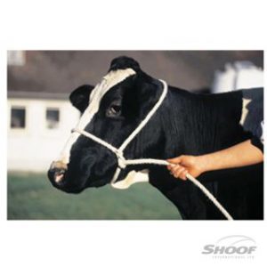 Halter-Poly-Rope-Cow-Red-300x300
