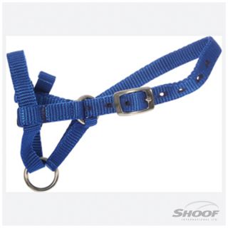 Halter Webbing Alpaca Cria Blue