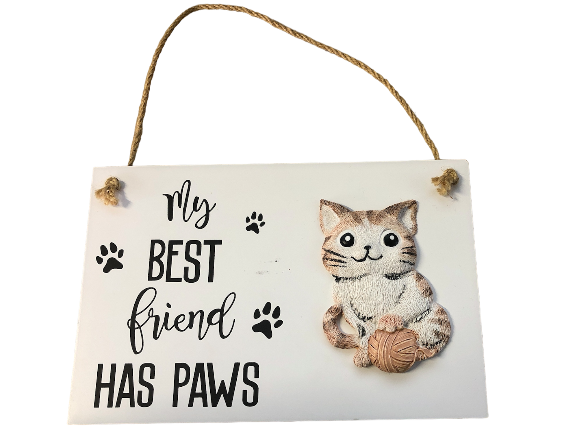 "My Best Friend Has Paws" Hanging Plaque