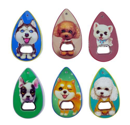 Raindrop Shape Magnet and Bottle Opener with 3D Cute Dogs