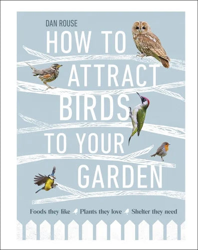 How Attract Birds to Garden - Foods they like, plants they love, shelter they need