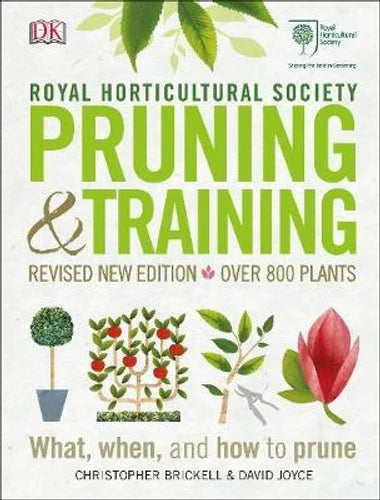 Pruning & Training - What, When, and How to Prune
